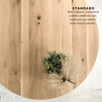Standard-2-2.png